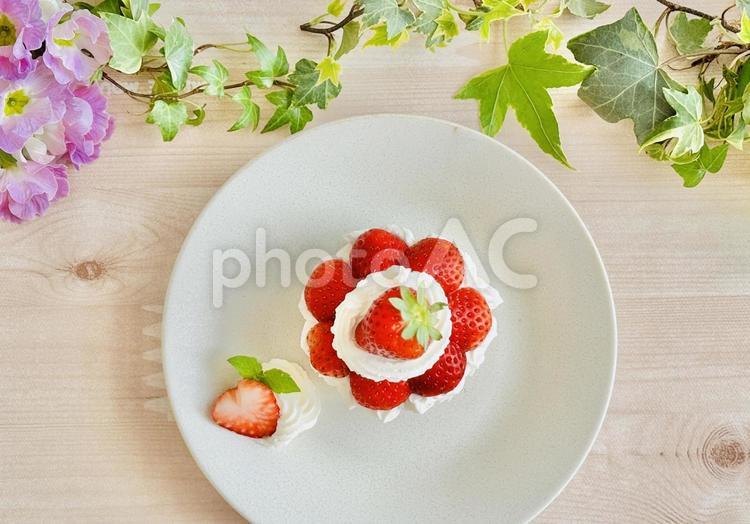 いちごケーキとアイビー ケーキ,いちご,デザートの写真素材