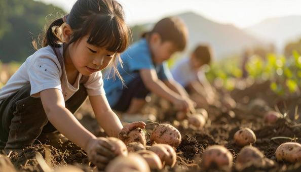芋掘りする子供 芋掘りする子供の写真