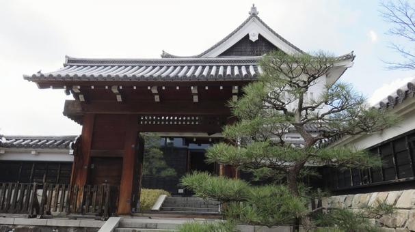 勝龍寺城 勝竜寺城公園の風景 勝龍寺城 勝竜寺城公園の風景の写真