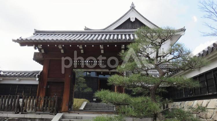 勝龍寺城　勝竜寺城公園の風景 勝龍寺城,勝竜寺城,お城の写真素材