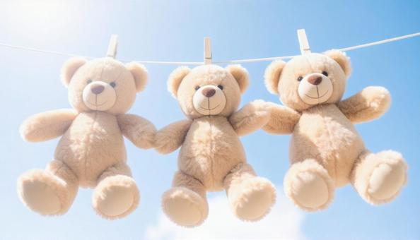 かわいいテディベア、天日干しの写真