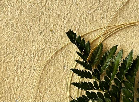 水引きらめく新春の彩り 正月,背景,年賀状の写真素材