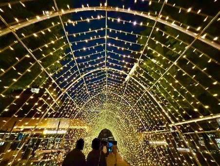 クリスマスイルミネーションのトンネル クリスマス,イルミネーション,ライトアップの写真素材
