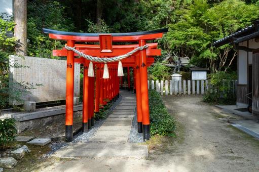 奈良　葛城一言主神社　一言稲荷神社 葛城一言主神社,葛城一言主,神社の写真素材