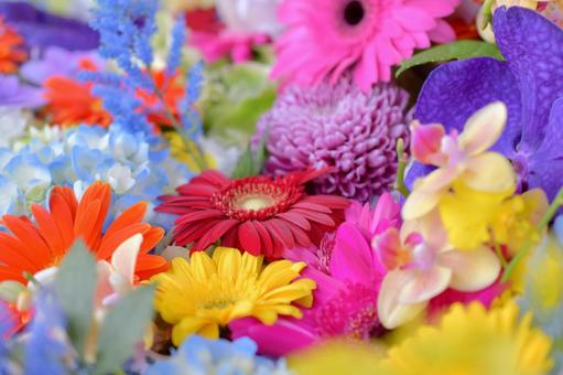 花手水 花手水の写真