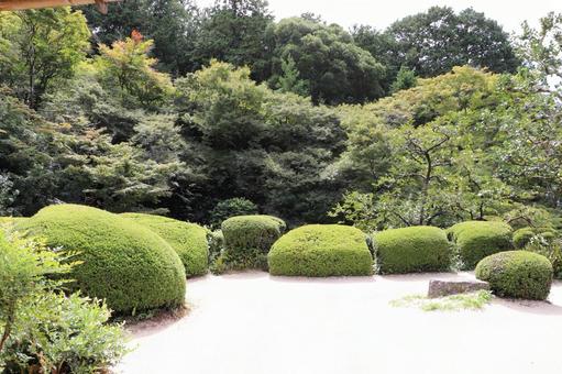 詩仙堂 庭園 詩仙堂 庭園の写真