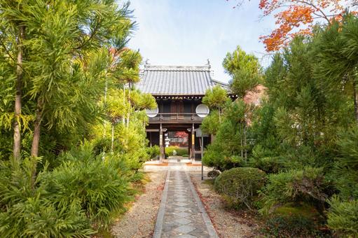 お寺に続くまっすぐな参道 お寺に続くまっすぐな参道 参道,まっすぐ,京都の写真素材