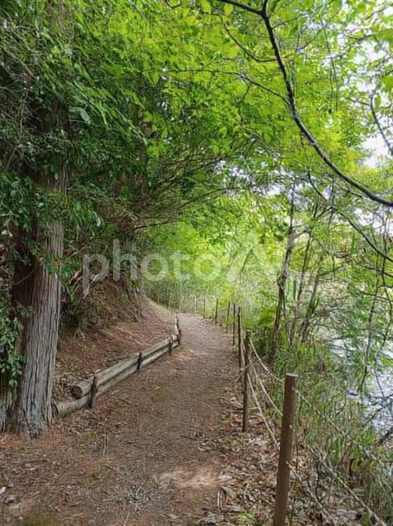 湖畔の散策路 マイナスイオン,山道,晴れの写真素材