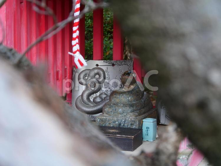 名島弁財天　宗栄寺の蛇 名島弁財天,巳年,神社仏閣の写真素材