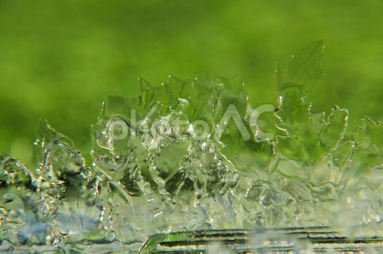 厳冬の朝にバケツの中で成長していた氷 氷,冬,凍結の写真素材
