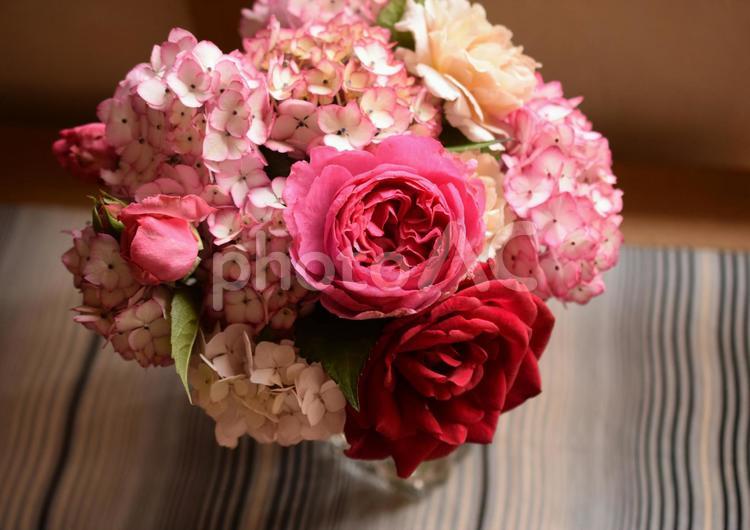 薔薇とアジサイの花、紫陽花 紫陽花,アジサイ,梅雨の写真素材