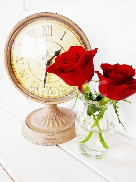 薔薇と時計・縦 薔薇,バラ,ばらの写真素材