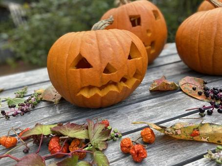 ジャックオランタン ジャックオランタン,ハロウィン,カボチャの写真素材