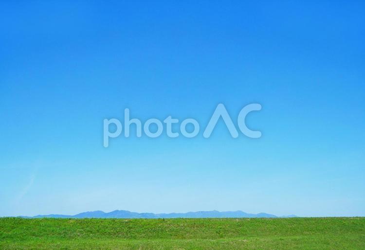 シンプルな新緑の草原と青空の風景 青空,空,草原の写真素材