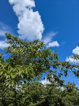 空 空 空,晴れ,風景の写真素材