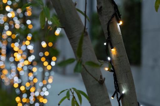 街中のイルミネーション イルミネーション,街路樹,ライトアップの写真素材