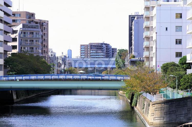 目黒川の河口付近 都市景観,ビル,建物の写真素材