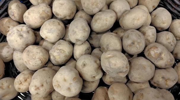 新じゃが じゃがいも,新じゃが,野菜の写真素材