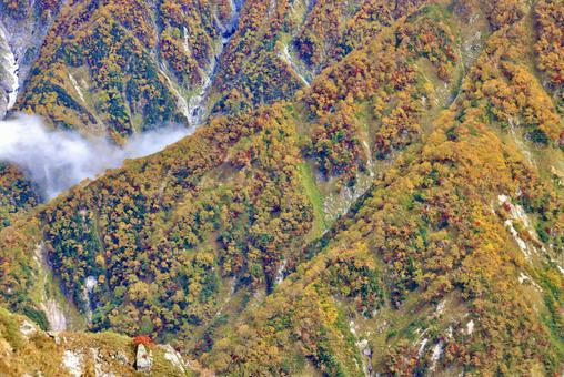 10年ぶりの紅葉当たり年 10年ぶりの紅葉当たり年 北アルプス,立山,大日岳の写真素材