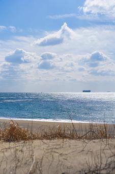 春の渥美半島の海岸 春の渥美半島の海岸 海岸,海,浜辺の写真素材