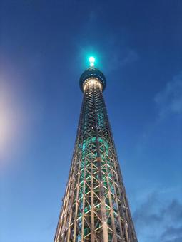 スカイツリー スカイツリーの写真