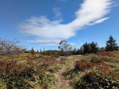 高原の秋 空,紅葉,高原の写真素材
