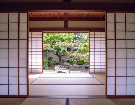 開け放たれた障子から庭を眺めるの写真