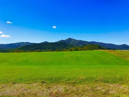 field and blue sky, JPG field and blue sky, JPG