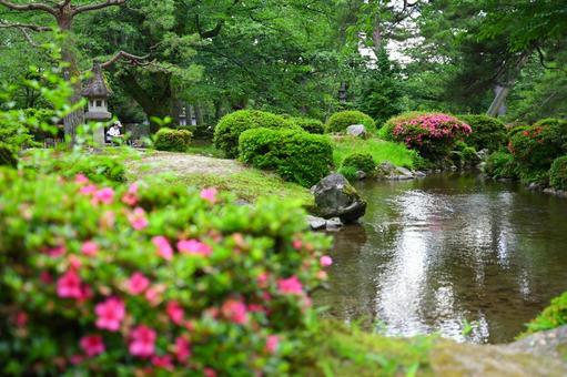 水面と花の兼六園 水面と花の兼六園 兼六園,水,花の写真素材