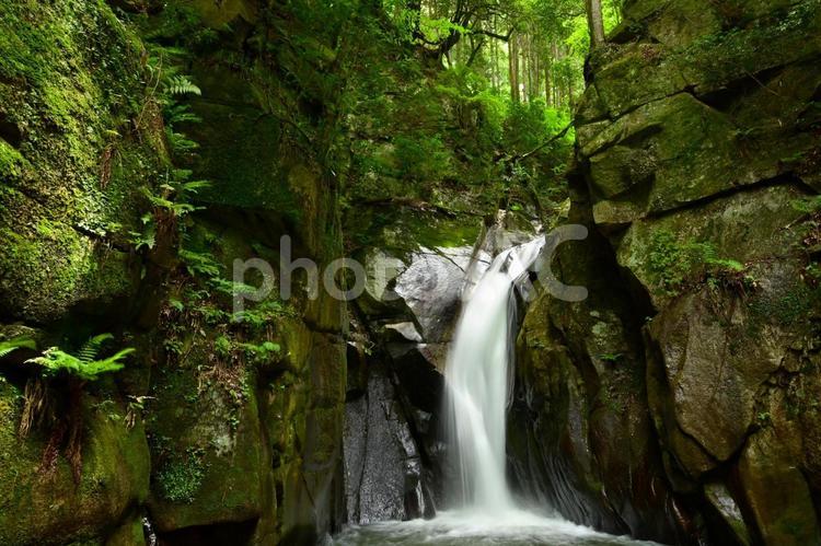 初夏の城山の滝（岐阜県　串原七つの滝） 城山の滝,滝,岩の写真素材
