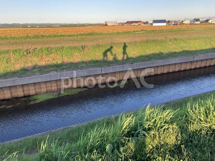 土手を散歩している家族 家族,散歩,土手の写真素材
