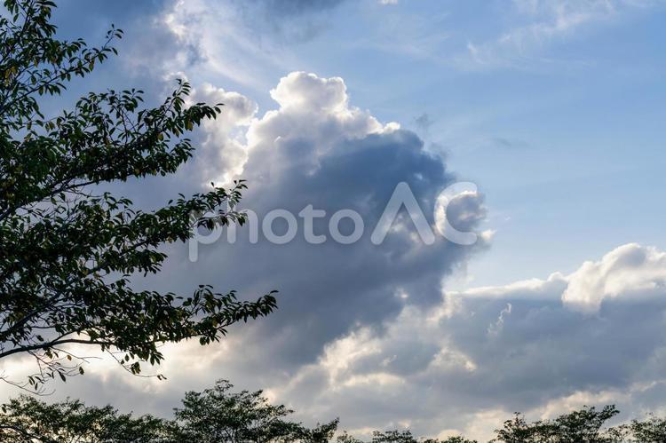 夏の空と雲 雲,空,青空の写真素材