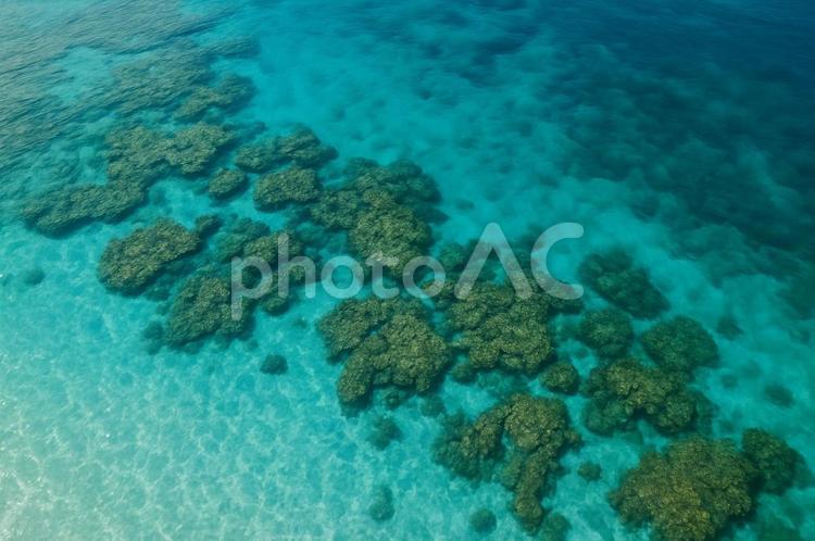 沖縄の美しい海とサンゴ礁・珊瑚・リゾート 沖縄,サンゴ礁,珊瑚の写真素材