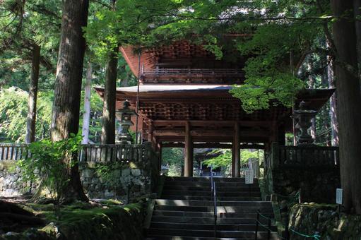 新緑の寺 新緑の寺の写真