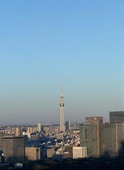 夕暮れのスカイツリー スカイツリー,飛行機,街並みの写真素材