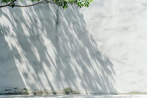 Natural shadow pattern of tree shade reflected on white wall, white wall, shade of tree, natural light, JPG