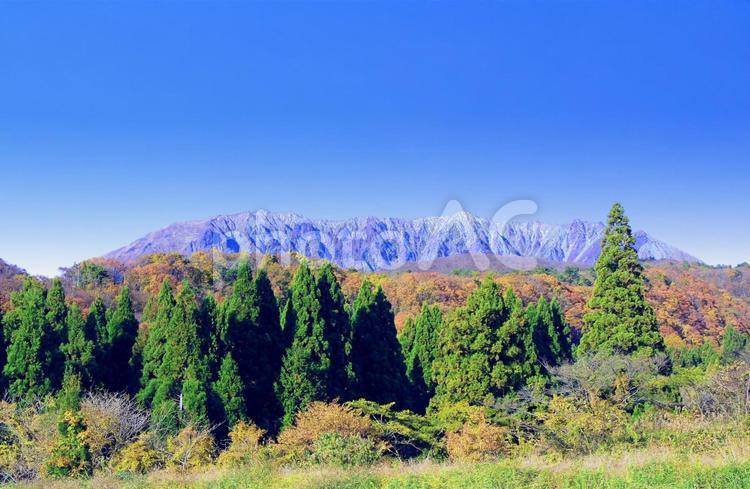秋の風景/大山南壁と紅葉・青空 秋の風景,秋,大山の写真素材
