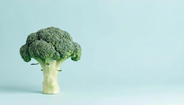 ブロッコリー ブロッコリーの写真