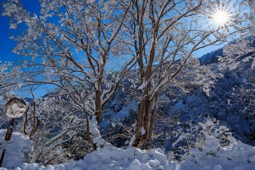 250320秋山郷清水川原、結東 250320秋山郷清水川原、結東の写真