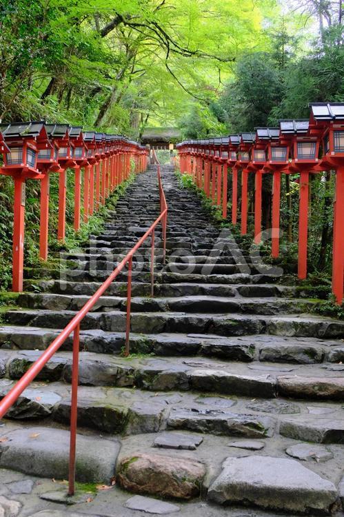 貴船神社の灯篭と石段 貴船神社,貴船,神社の写真素材