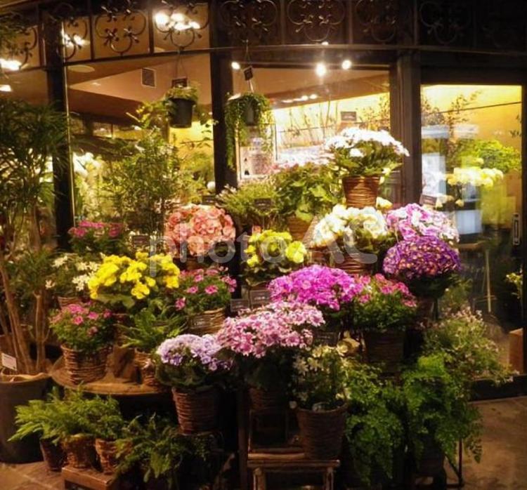 お花屋さんのお店先 花屋,店先,鮮やかの写真素材