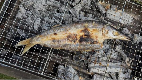 焼き魚 焼き魚の写真