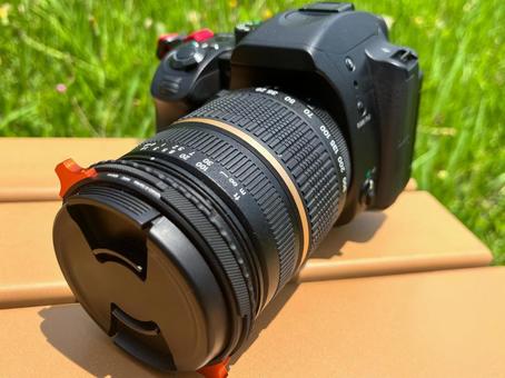 【カメラ】一眼レフカメラを持ってお写んぽ 【カメラ】一眼レフカメラを持ってお写んぽ 一眼レフカメラ,ズームレンズ,ペンタプリズムの写真素材