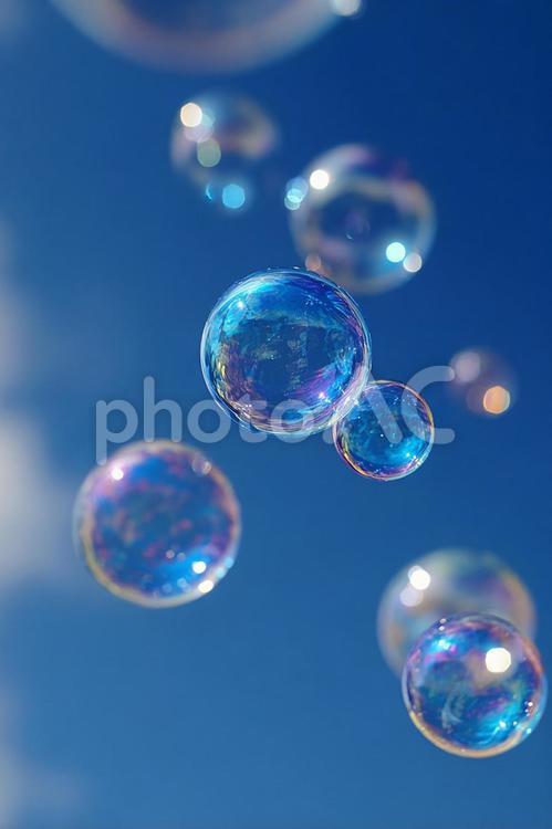 夢見るような幻想的なシャボン玉 シャボン玉,泡,青空の写真素材