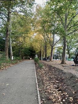 林試の森公園の写真