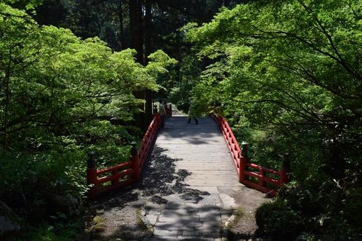 羽黒山五重塔付近の景色 羽黒山五重塔付近の景色,羽黒山五重塔,羽黒山五重塔付近の写真素材