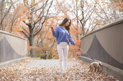 Woman walking in the park with her pet, a pet, toy poodle, poodle, JPG