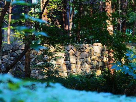 大手町に残る城の石垣 石垣,城,江戸城の写真素材