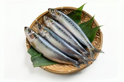 イワシ(カゴ入り) イワシ(カゴ入り)の写真