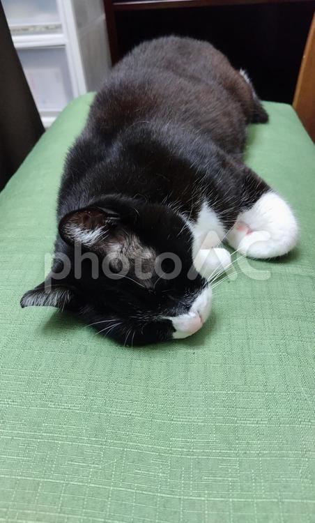 箱からとろけて寝ねこ 猫,寝ねこ,ネコの写真素材